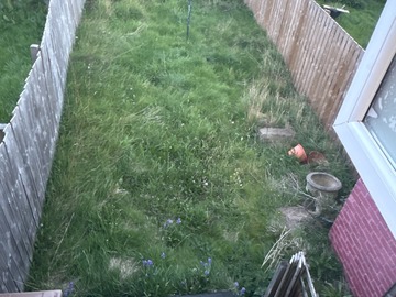 Earn a Monthly Rent: Garden that needs some love beside Whitley Bay