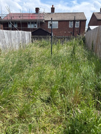 Garden that needs some love beside Whitley Bay