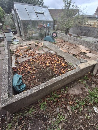 Renovation & use of an established veg plot