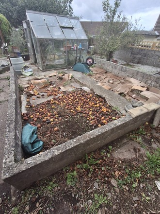 Renovation & use of an established veg plot