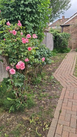 Free garden space for greenfingers