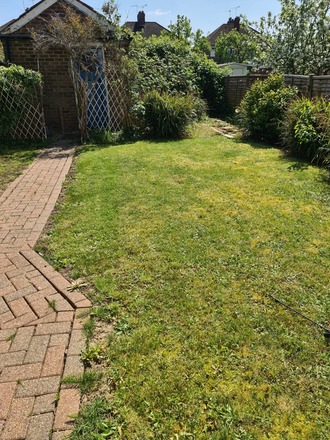 Free garden space for greenfingers