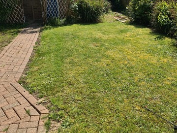 Rent Free: Free garden space for greenfingers
