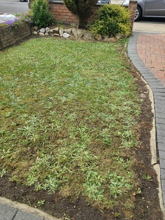 Free garden space for greenfingers