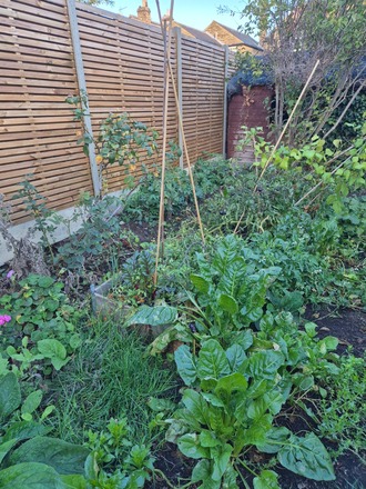 Back garden in Kingston upon Thames
