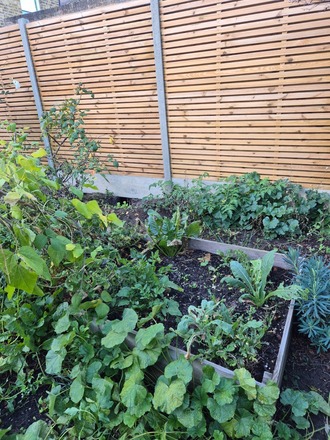 Back garden in Kingston upon Thames