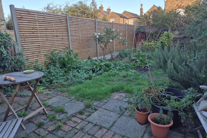 Back garden in Kingston upon Thames