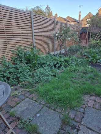 Back garden in Kingston upon Thames