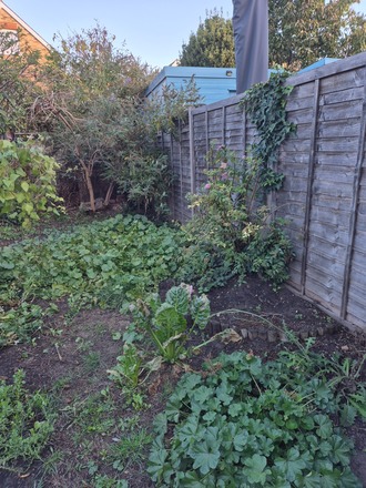 Back garden in Kingston upon Thames