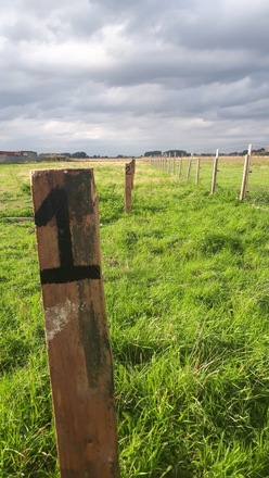 Jjeb Fen allotments and camping