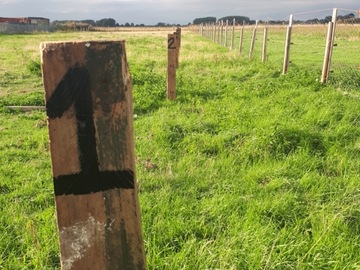 Earn a Monthly Rent: Jjeb Fen allotments and camping