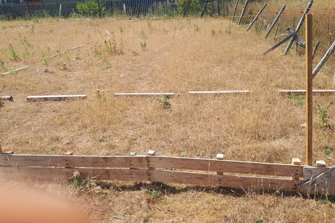 Jjeb Fen allotments and camping